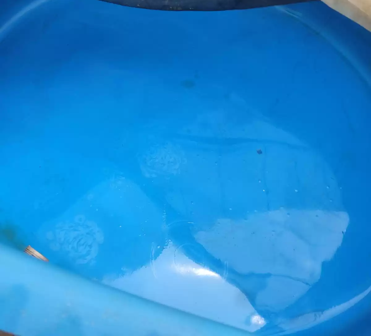 WhatsApp-Image-2023-12-20-at-11.02.20