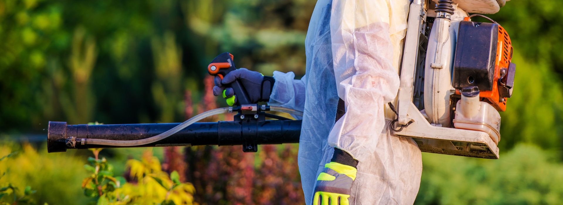 Sem nome (650 x 250 px) (800 x 1200 px) (800 x 500 px) (1920 x 700 px) (2)