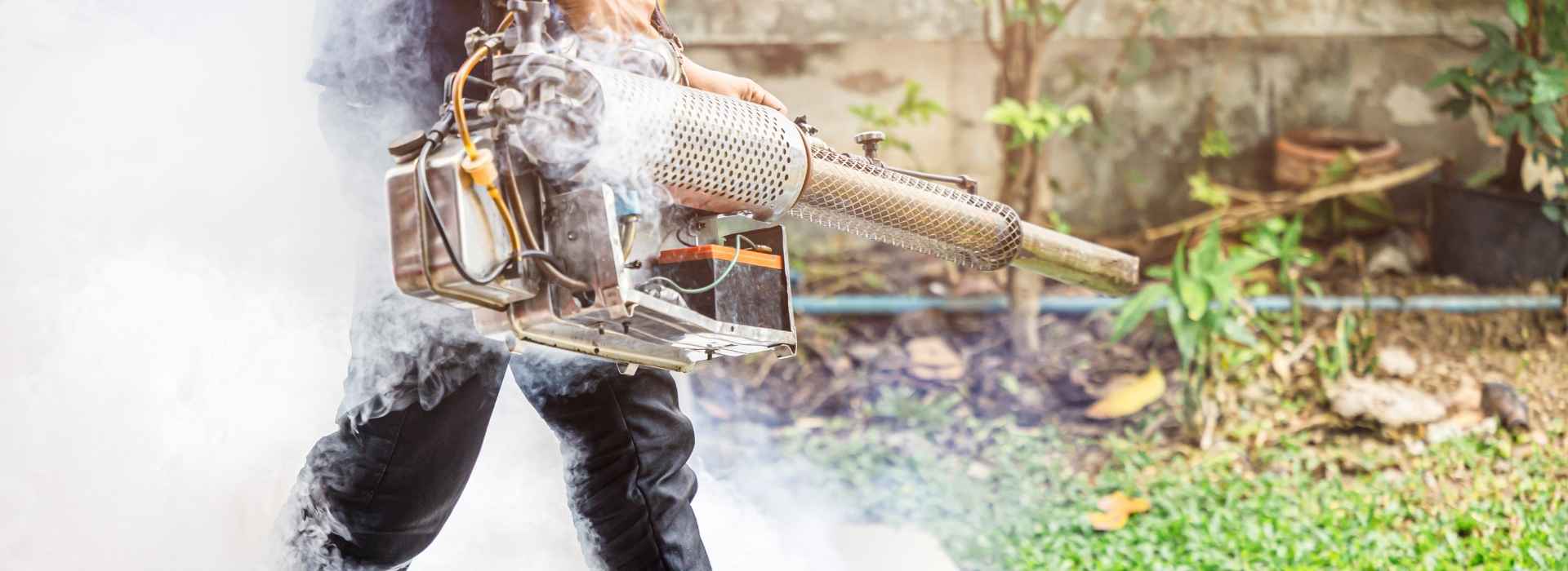 Sem nome (650 x 250 px) (800 x 1200 px) (800 x 500 px) (1920 x 700 px) (3)