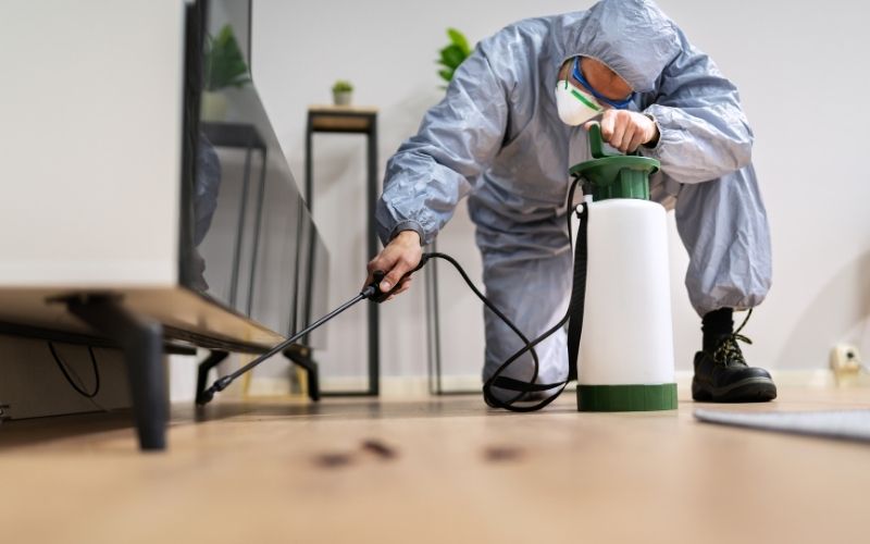 Sem nome (650 x 250 px) (800 x 1200 px) (800 x 500 px) (4)